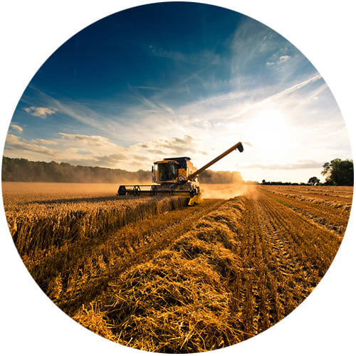 Landwirtschaft