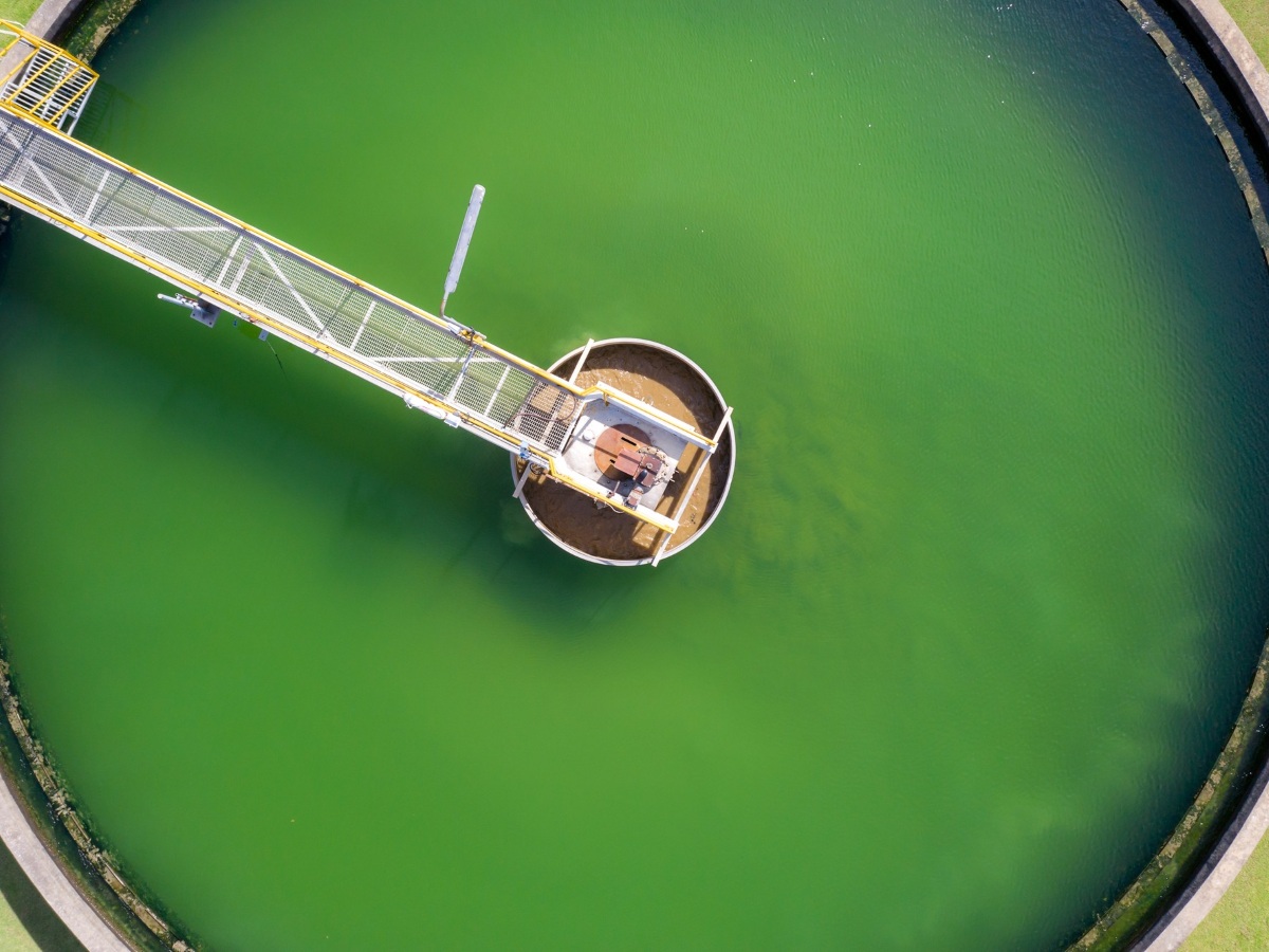 Grünes Wasser im Abwassertank