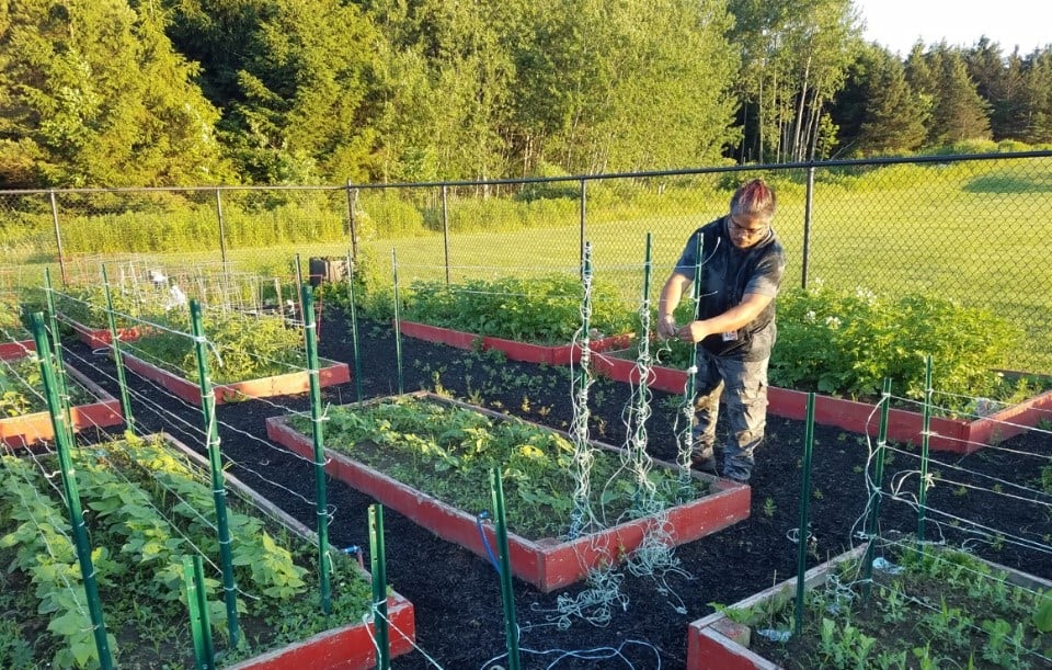 JEP Giving Garten