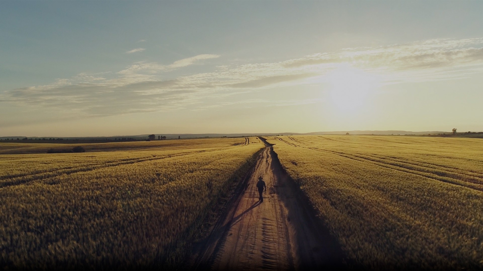 Cummins-Mission-Film-Web-Banner-Bild-Farmer-Feld