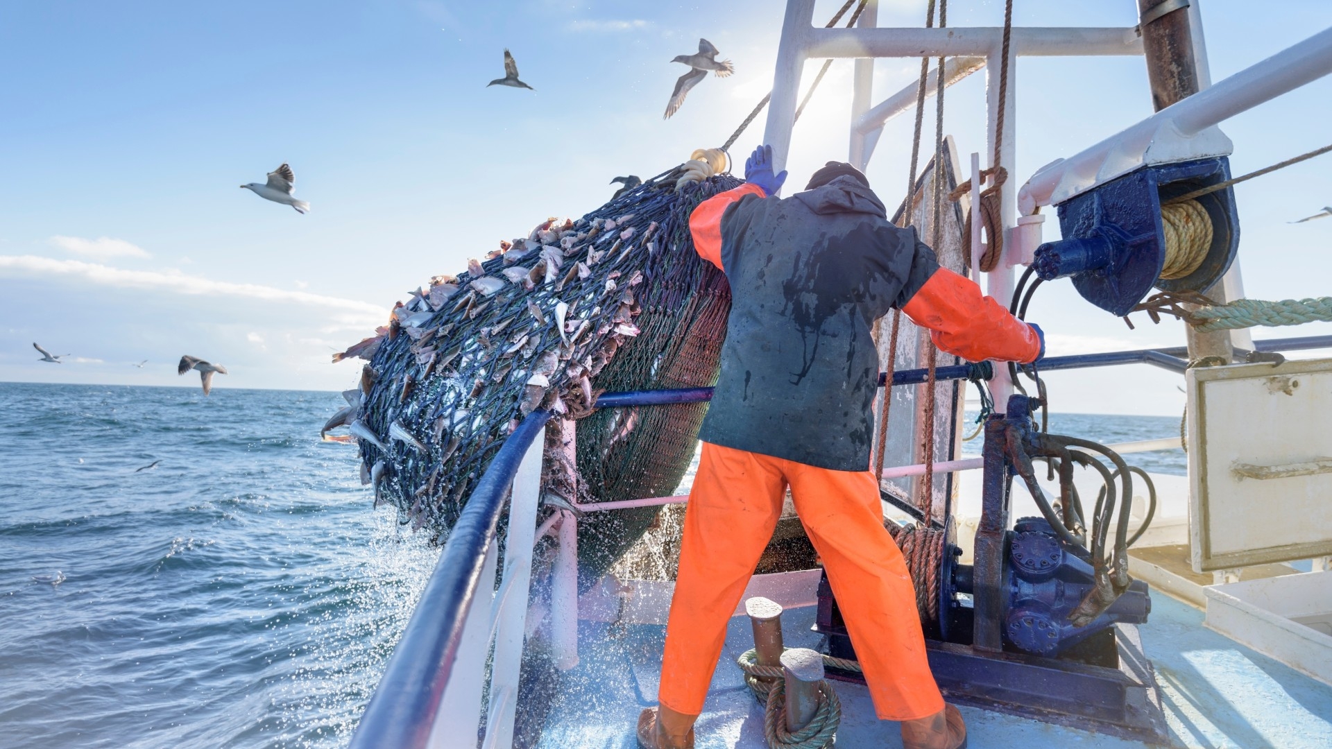 Fischer mit einem Netz zum Fischen auf einem Schiff