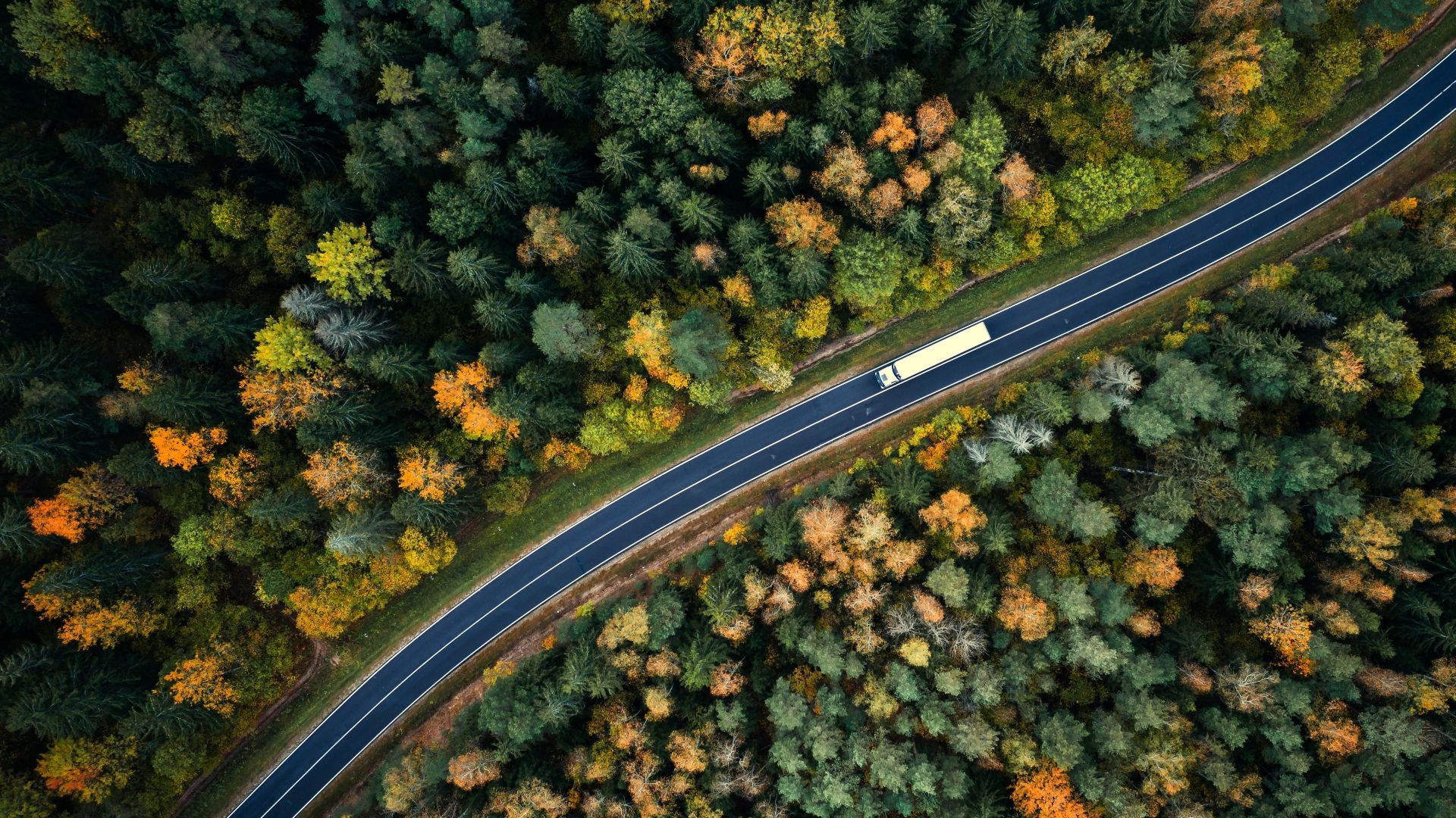 Drohnenaufnahme eines Lastwagens, der auf einer kurvenreichen Straße durch den Wald fährt