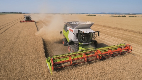 Zwei Mähdrescher auf einem Feld bei der Ernte von Feldfrüchten