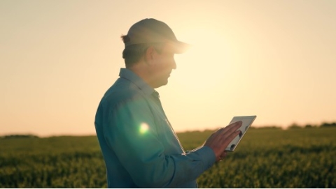 Landwirt auf einem Tablet