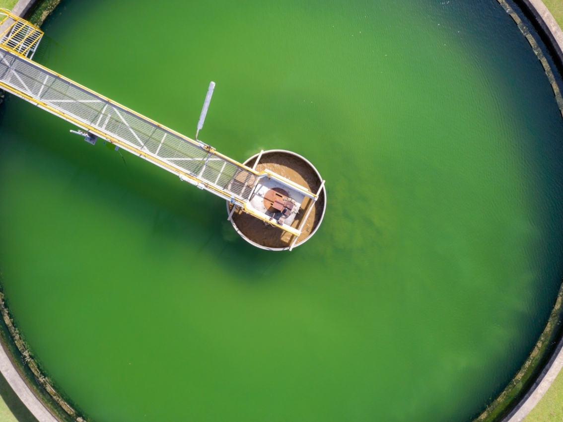 Grünes Wasser im Abwassertank