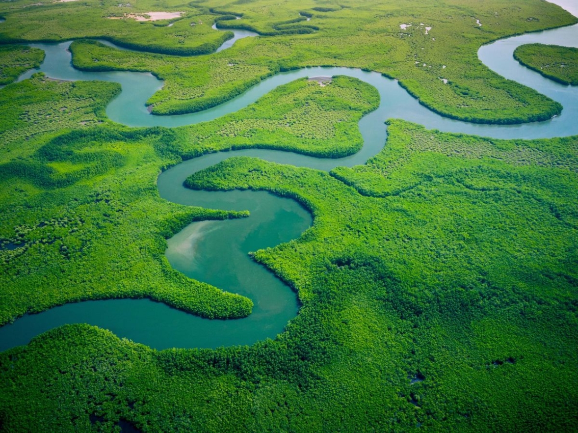 Fluss schlängelt sich durch ein Feuchtgebiet