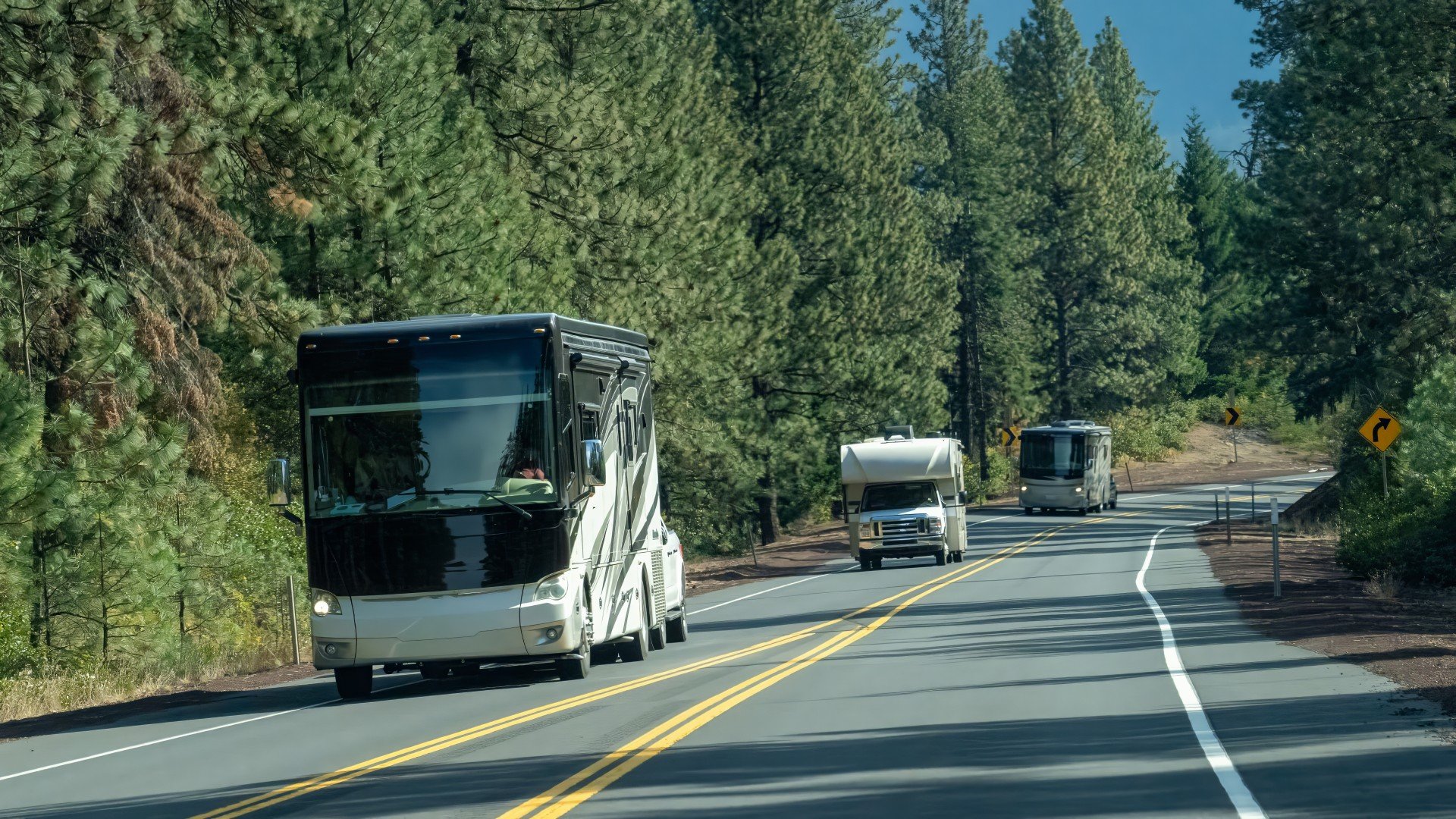 Varios tipos de vehículos recreativos conduciendo a través de un bosque