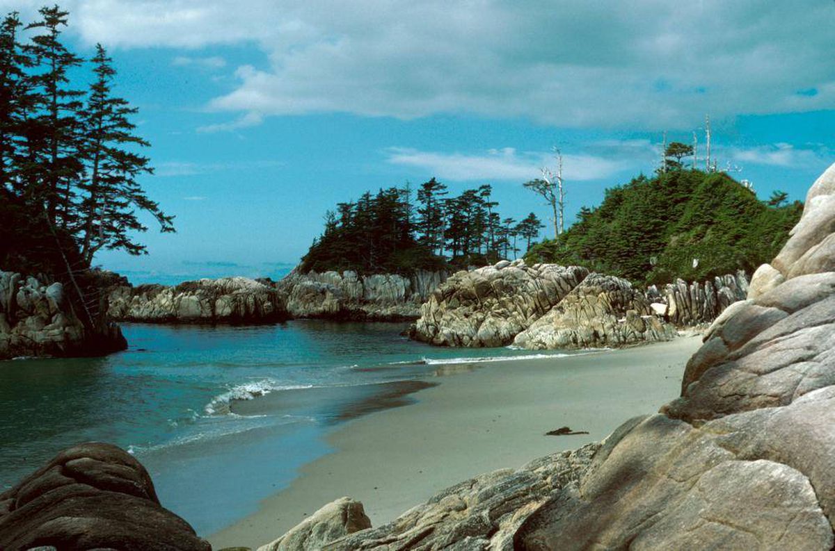 Isla Calvert