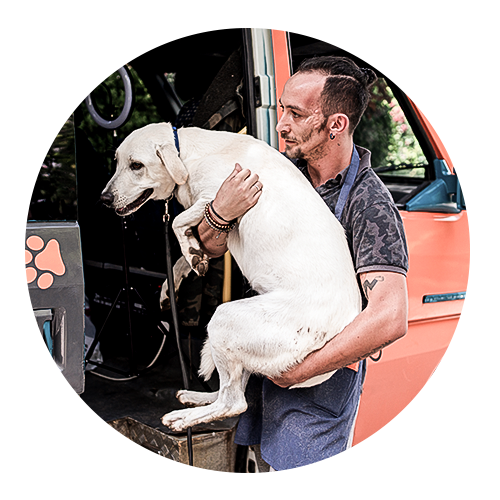 un hombre con un perro junto a una camioneta de servicios veterinarios móviles