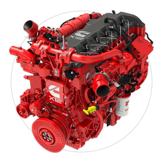 motor 2024 x12