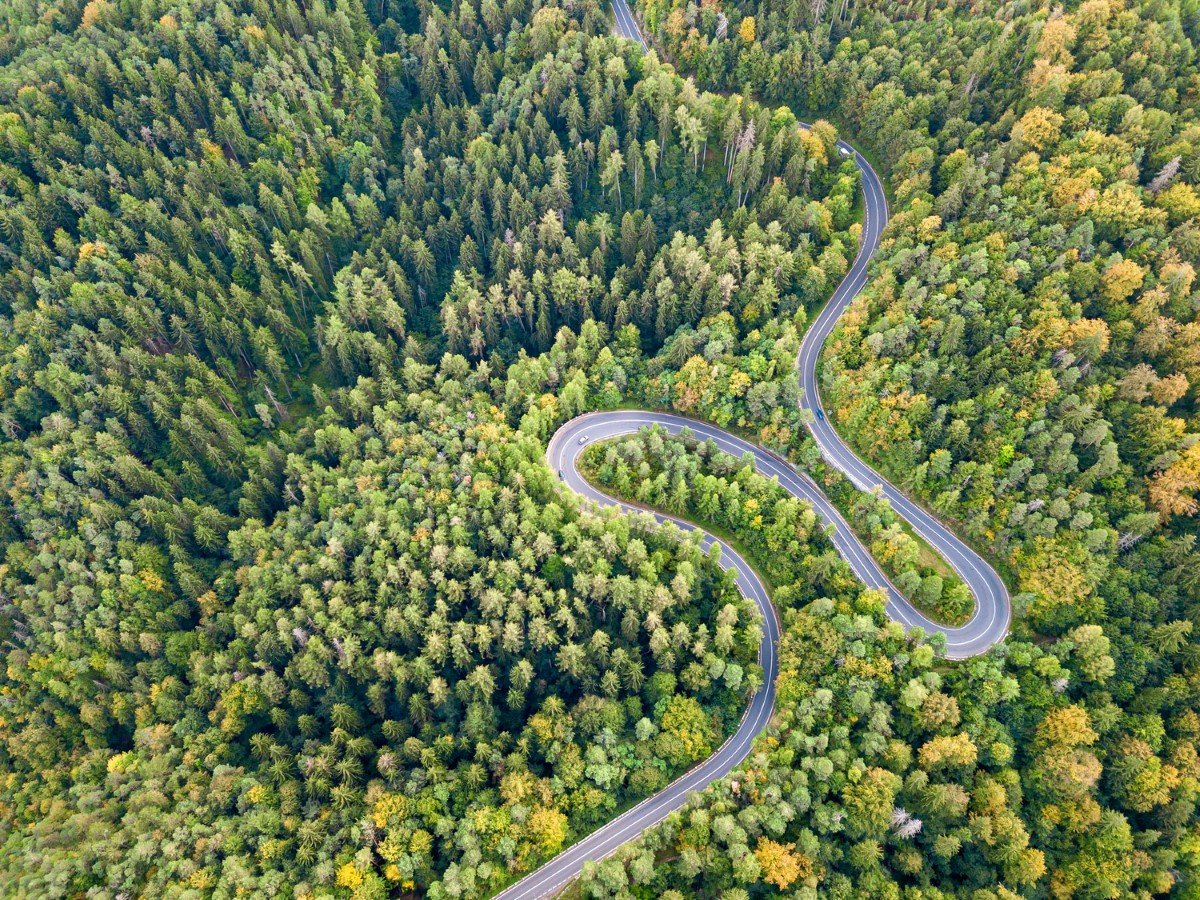 Carretera sinuosa a través de una zona boscosa
