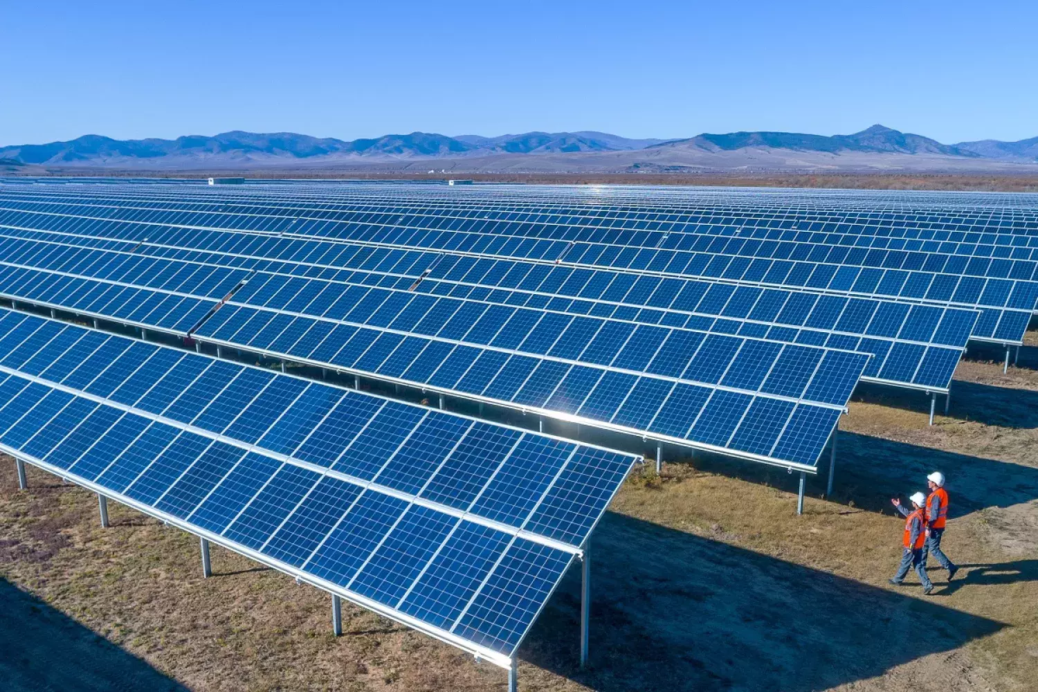 Trabajadores en el campo de paneles solares