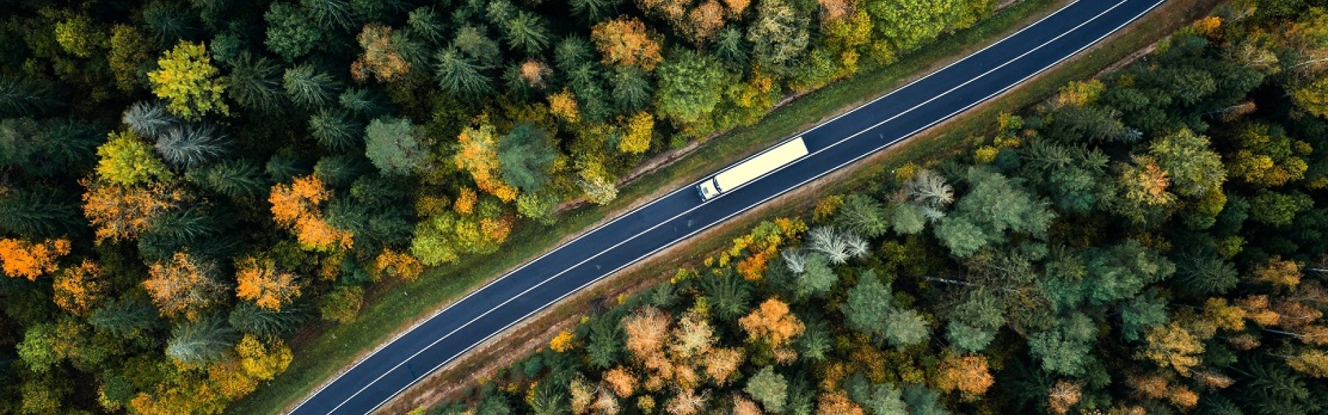 Un camión andando por una carretera rodeada de árboles