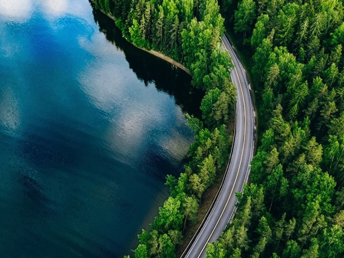 carretera sinuosa en un bosque