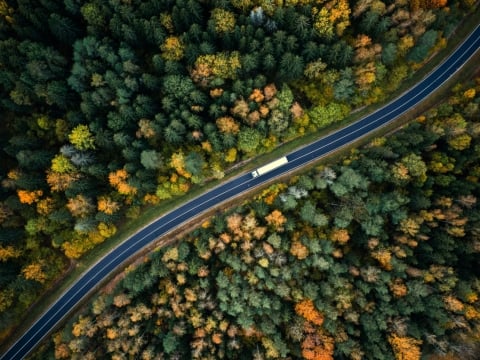 Un camion circulant dans une forêt