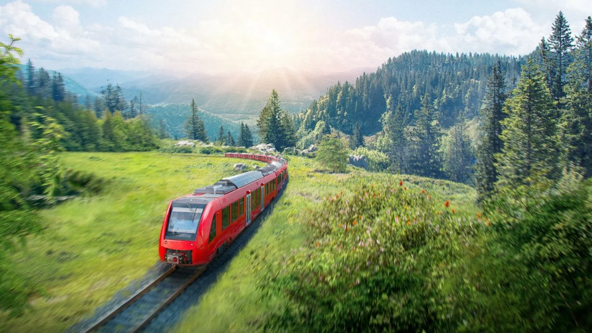 Train sur les rails entouré d’arbres