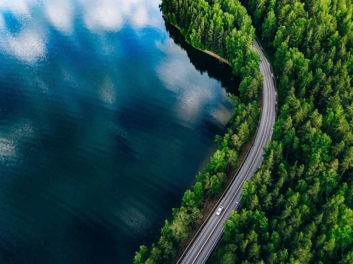 Route entourée d’arbres à côté d’un plan d’eau