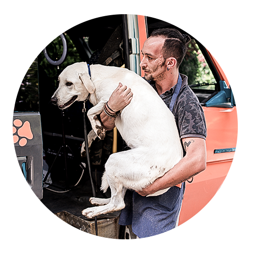 Homme avec son chien à la fourgonnette mobile de service animalier