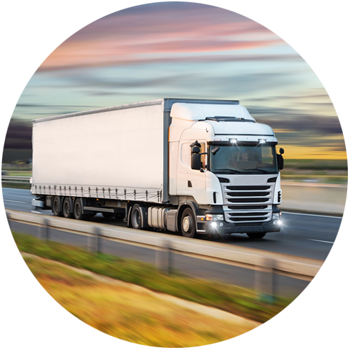 Camions