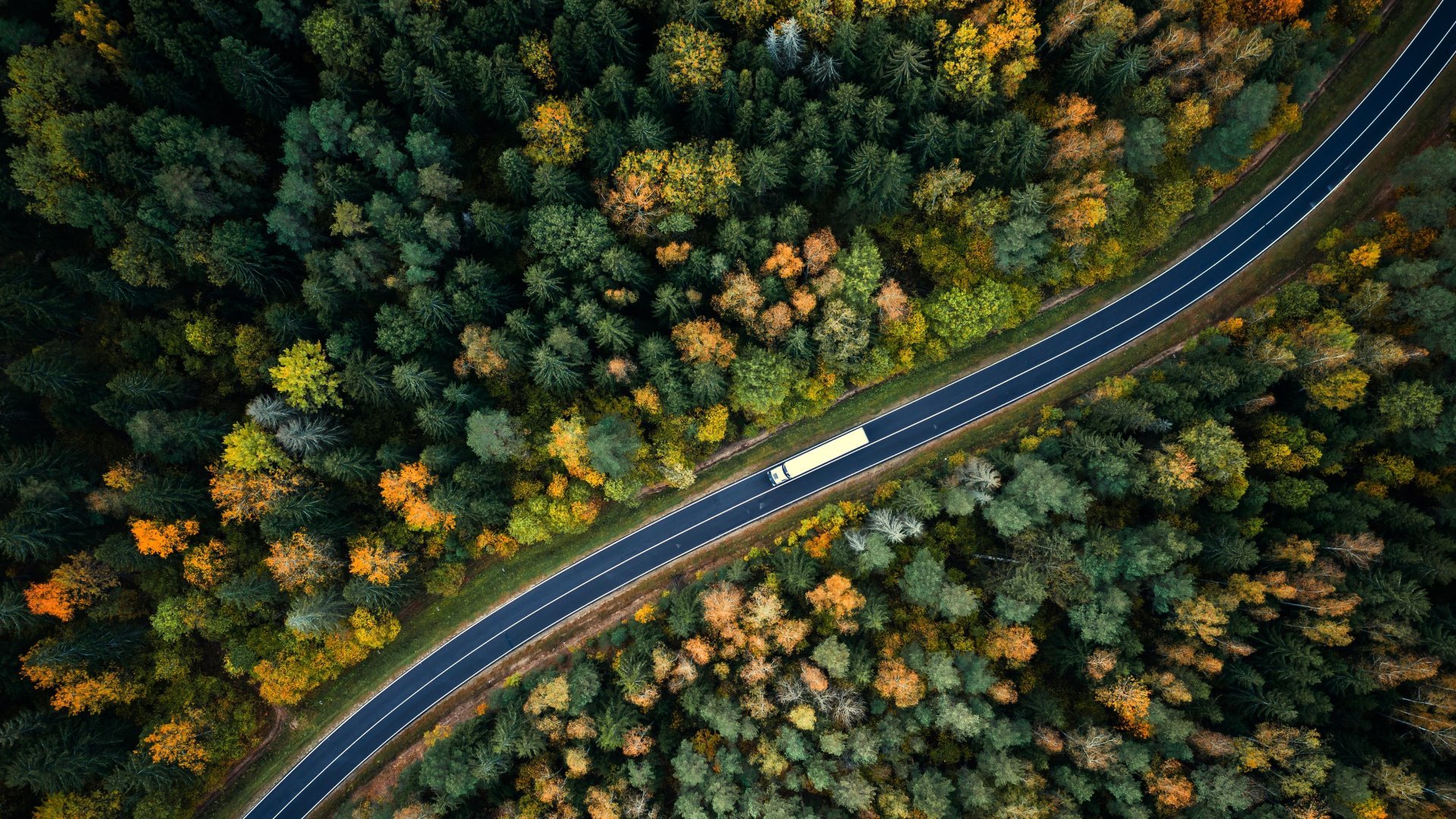 Camion sur l'autoroute à travers la forêt