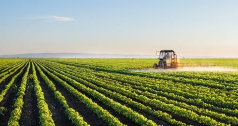 Tracteur traversant un champ de culture verdoyant par une journée ensoleillée