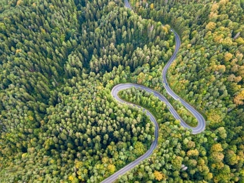 Autoroute venteuse traversant une zone forestière