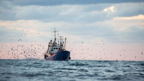 bateau de pêche sur l'océan
