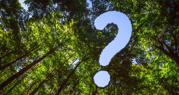 Animation de point d'interrogation dans les arbres