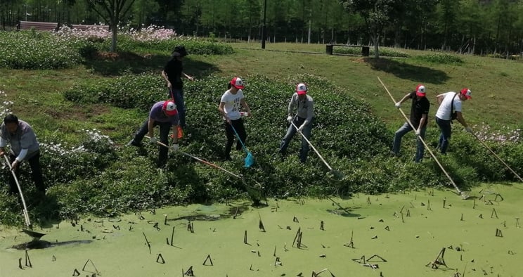 Employés nettoyant une rivière