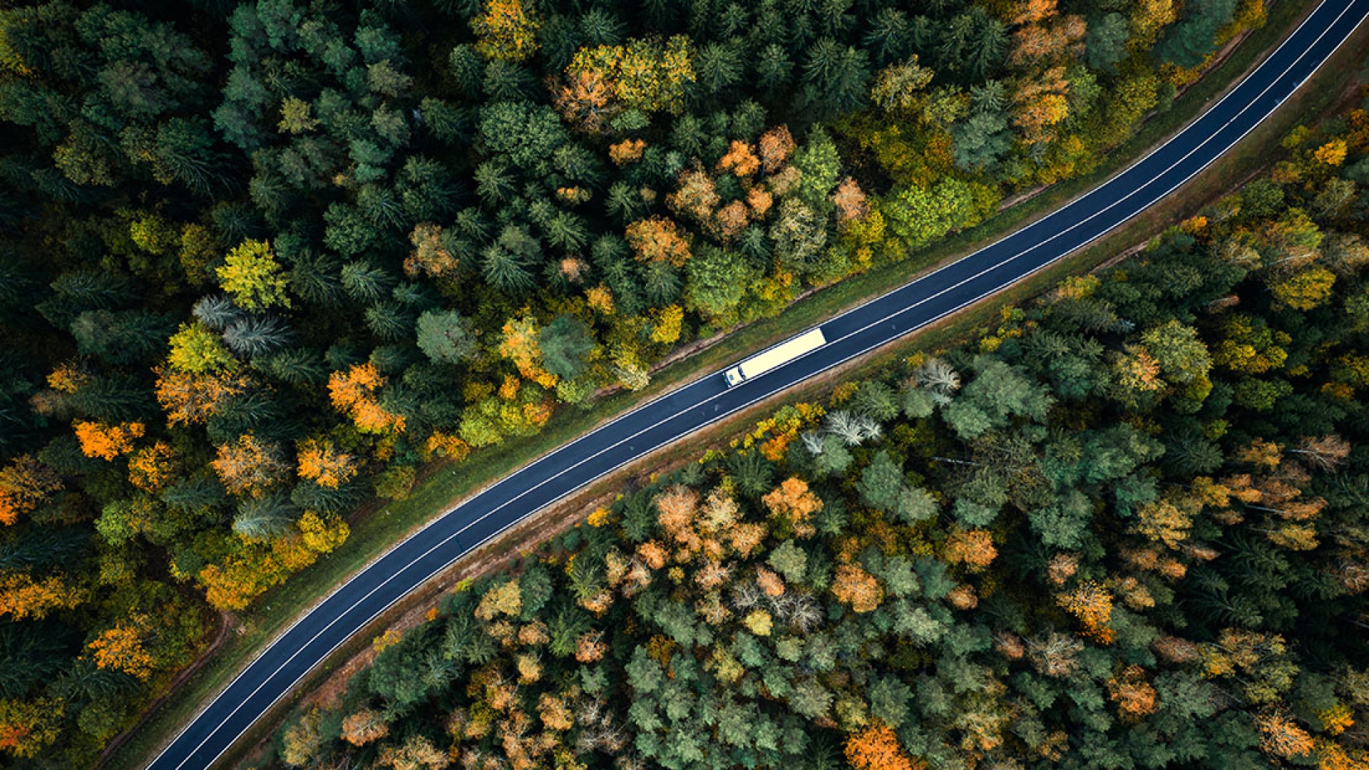 semi sur l’autoroute à travers la forêt