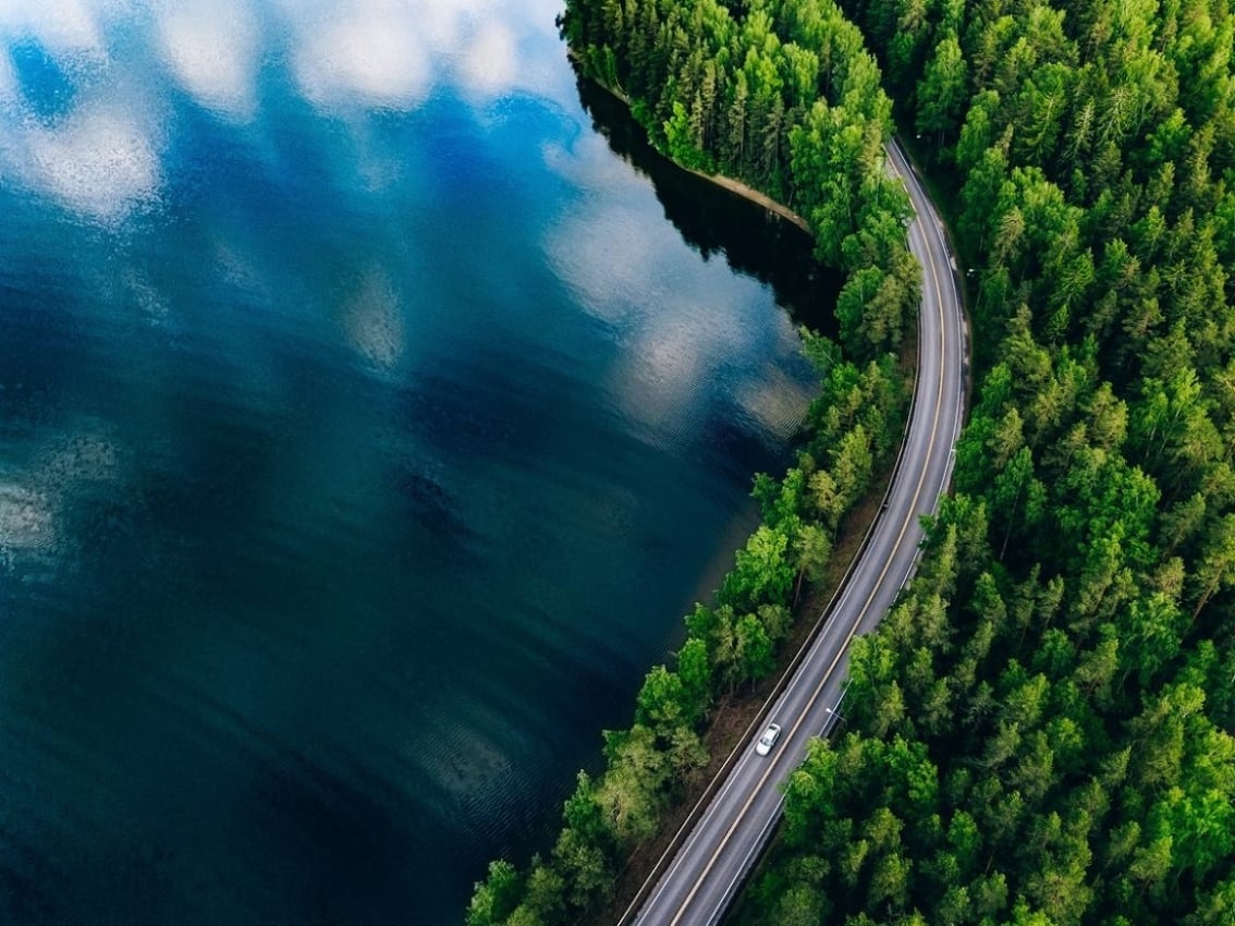 Route entourée d’arbres à côté d’un plan d’eau