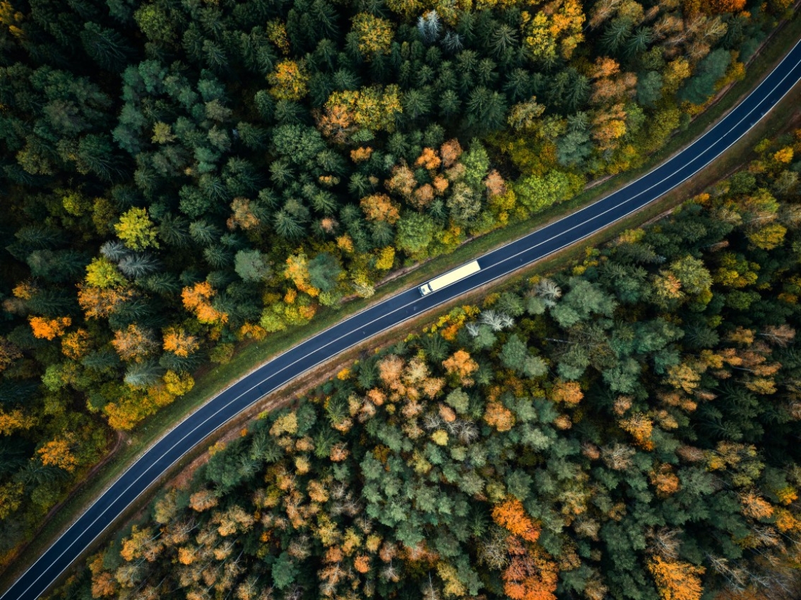 Truck driving in a forest