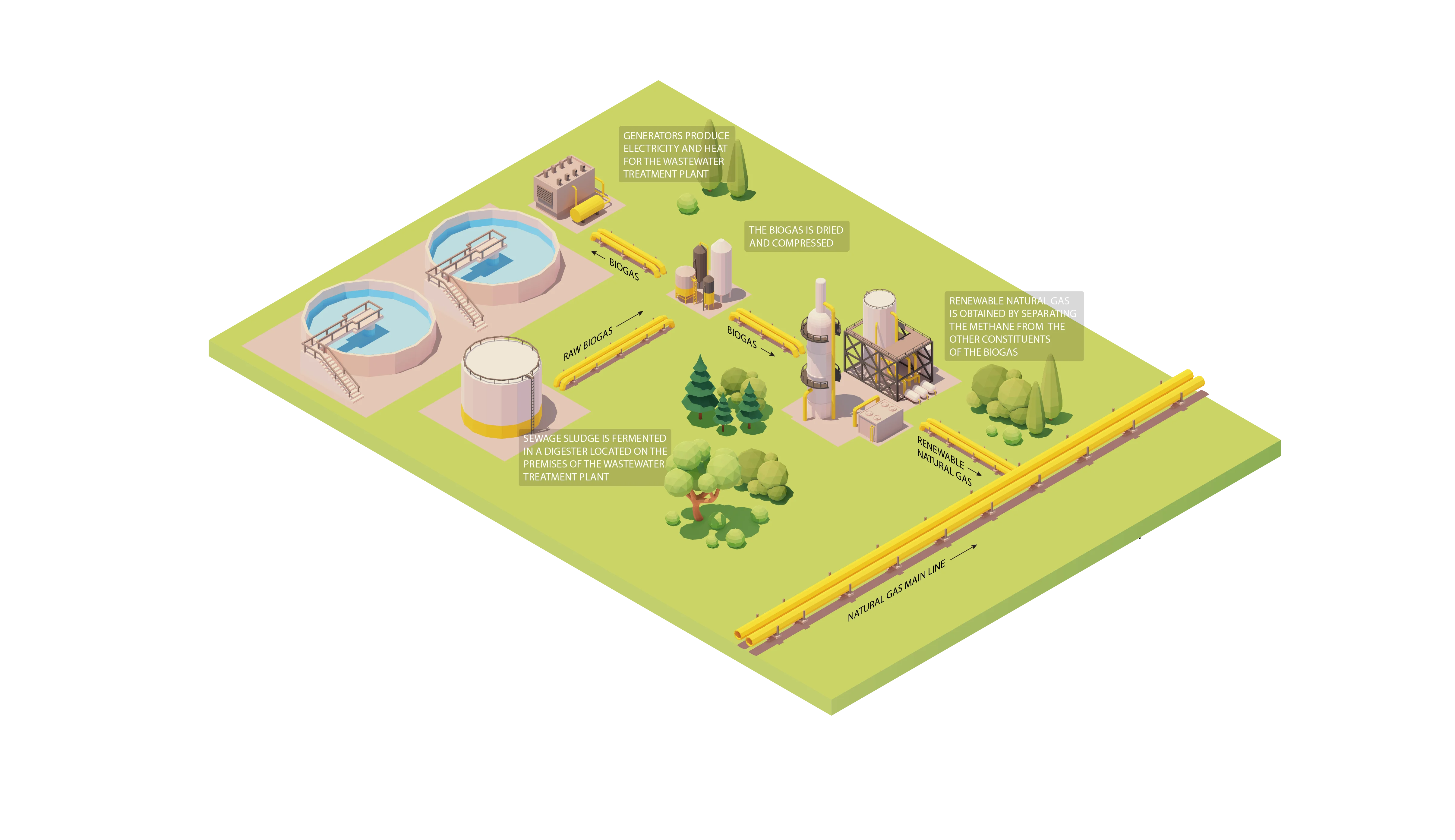 Il biogas può essere impiegato per generare elettricità e calore per il processo di trattamento dell'acqua.