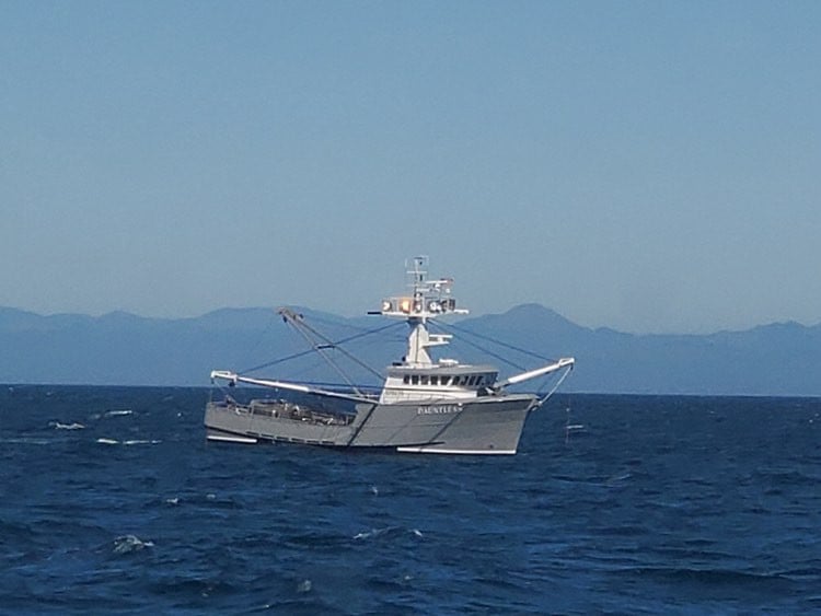 Dauntless reconstruită și-a câștigat păstrarea ca shrimper cu două platforme în largul coastei Oregonului