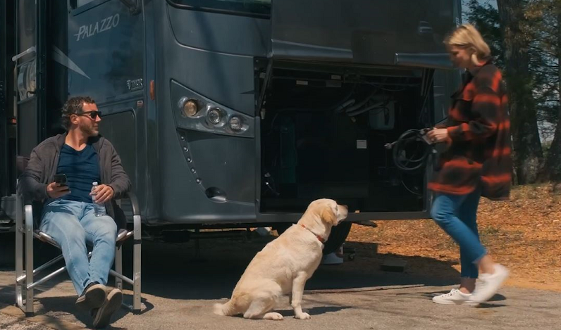 rv life with dog