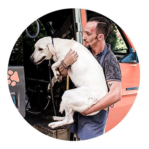 мужчина с собакой у передвижного фургона для животных