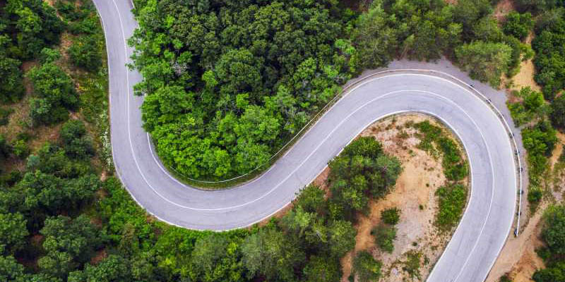 winding road in forest