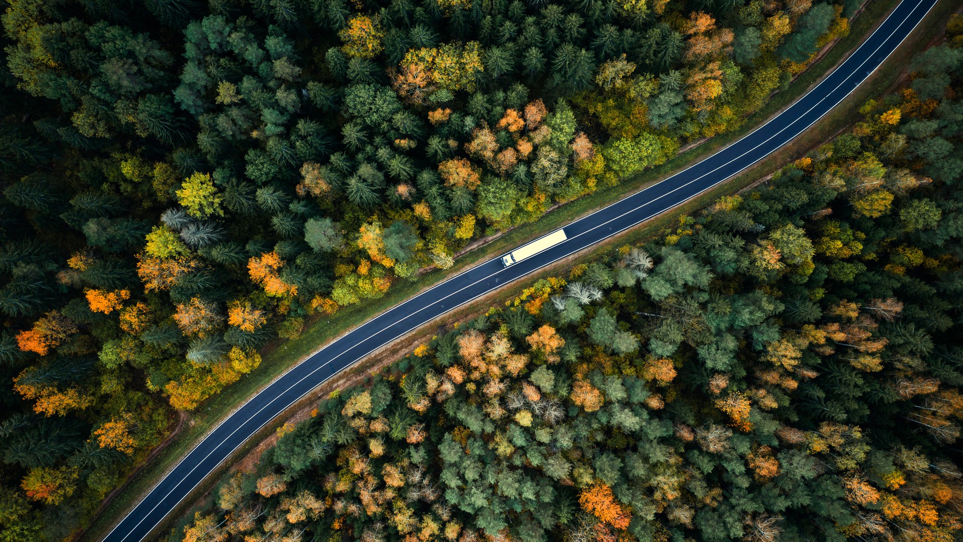 Truck driving with trees all around it