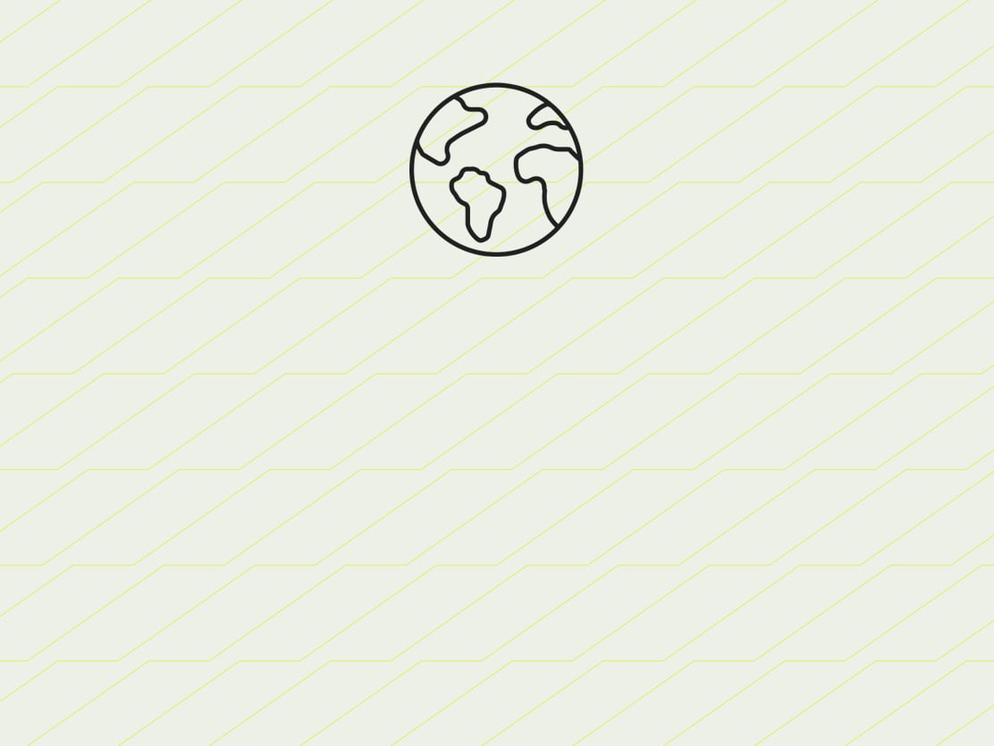 Globe icon