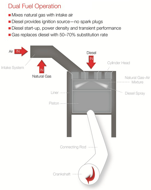 dual fuel operation illustration