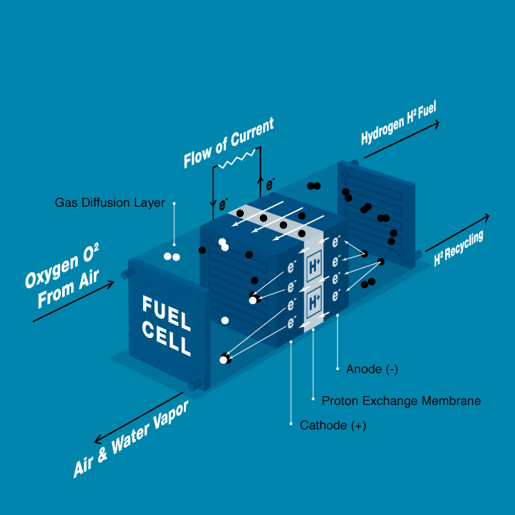 Hydrogen Fuel Cell Diagram