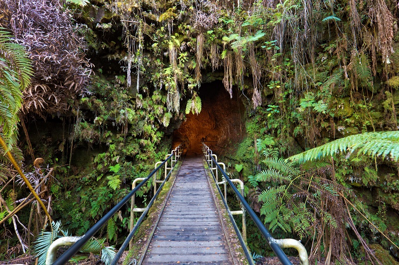 Entrance to a lava tube at the Hawaii Volcanoes National Park. Lava tubes are created by the flow of hot lava centuries ago.