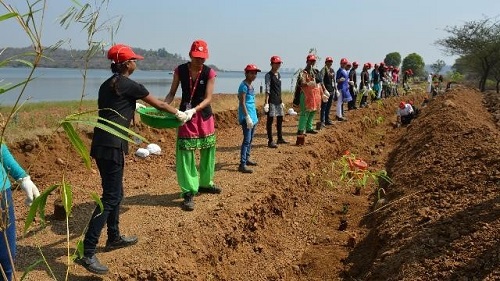 Los empleados de Cummins India trabajan en un proyecto de agua