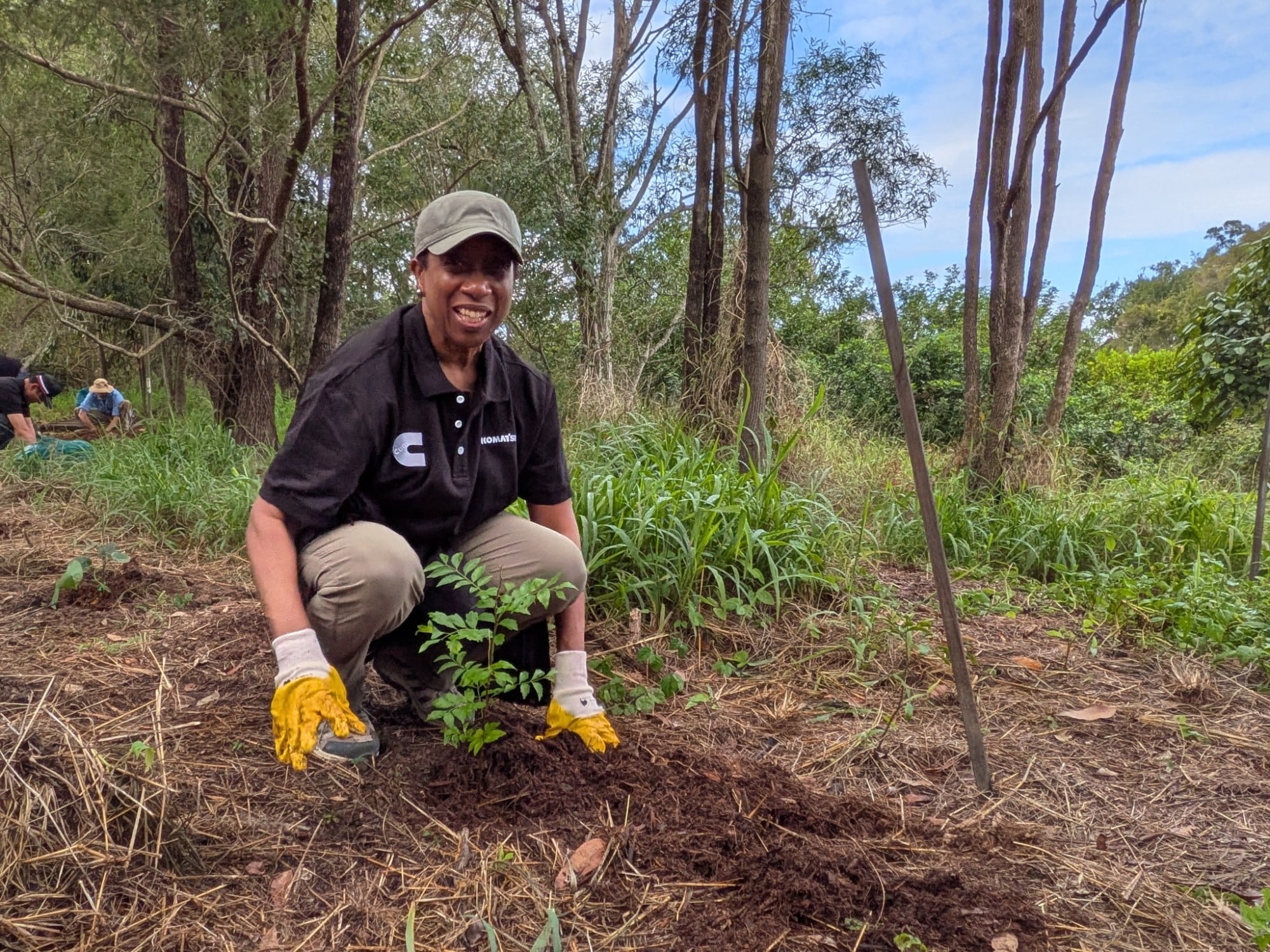 volunteer planting a tree