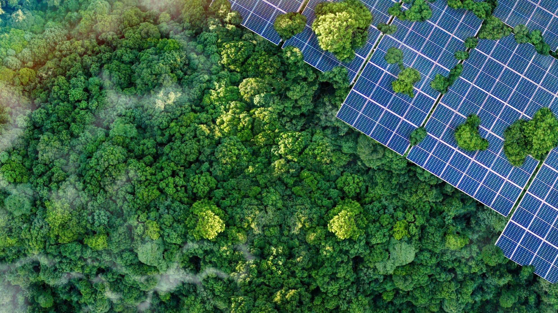 vista dal drone di pannelli solari in mezzo a una fitta foresta