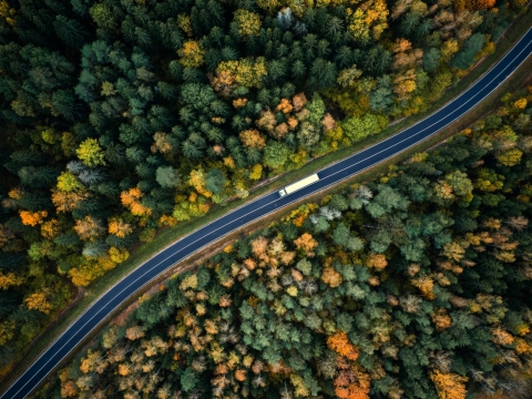 Truck driving in a forest