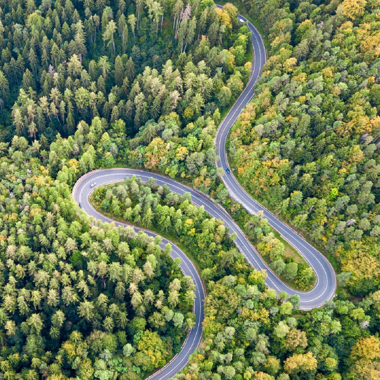 Kurvenreiche Straße durch einen Wald