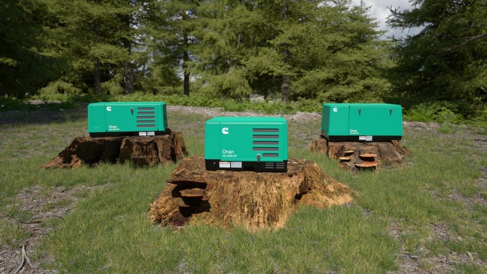 cgi onan rv generators sitting on wood stump