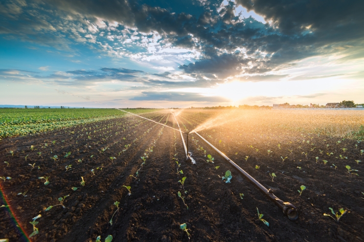 Biodiesel and the X15:  Low-carbon power for 2027 and beyond
