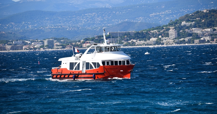 The Saint Honorat IV